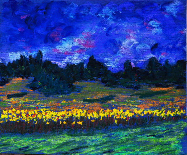 Ambois Field Adj 2 small