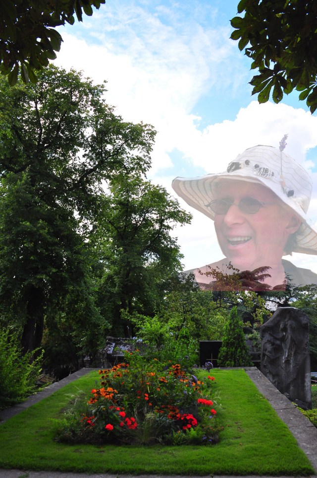 Elli, Stopping by to say hello