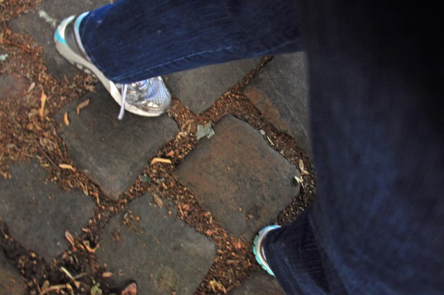 A Reminder From Elli