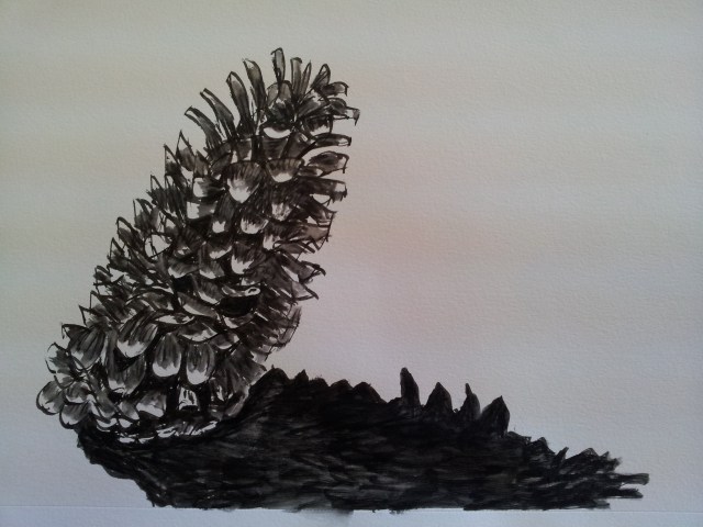 Pine Cone in Ink