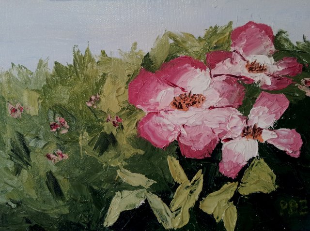 Roses - Oil