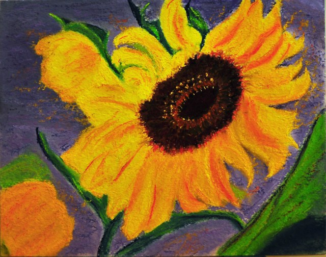 Sunflower - Soft Pastel