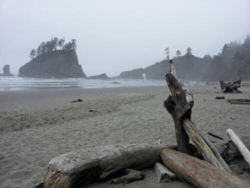 20140623_133327.jpg image