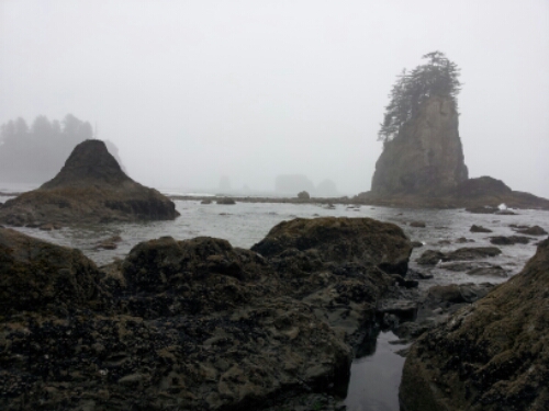 20140623_144702.jpg image