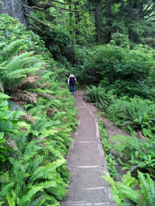 20140623_150235.jpg image