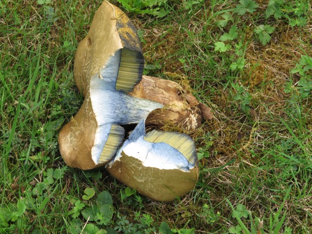 IMG_1932 Large Web view