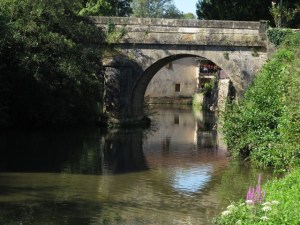 IMG_1962 Large Web view