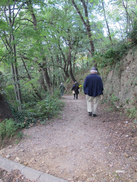 IMG_3736 Large Web view