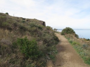 IMG_4131 Large Web view