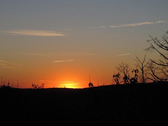 IMG_4212 Large Web view