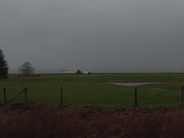 IMG_3335 Large Web view