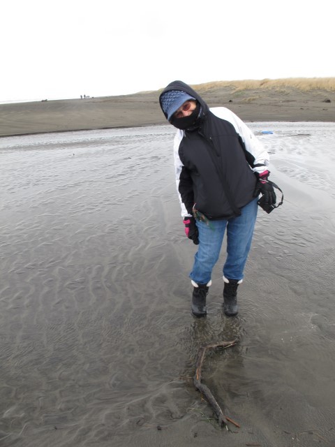 IMG_4236 Large Web view