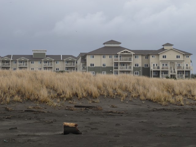 IMG_4238 Large Web view