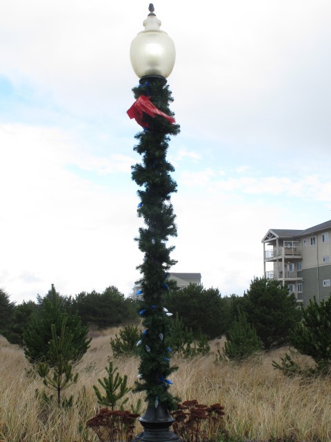 IMG_4243 Large Web view