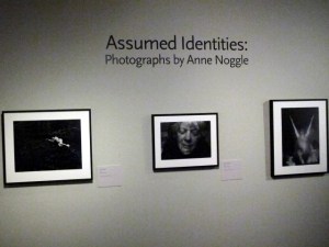 IMG_4631 Large Web view