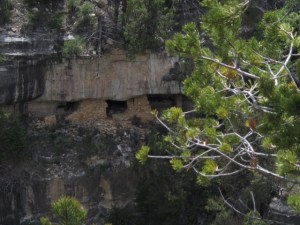 IMG_4730 Large Web view