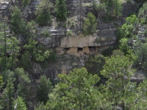 IMG_4733 Large Web view