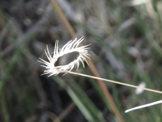 IMG_4752 Large Web view