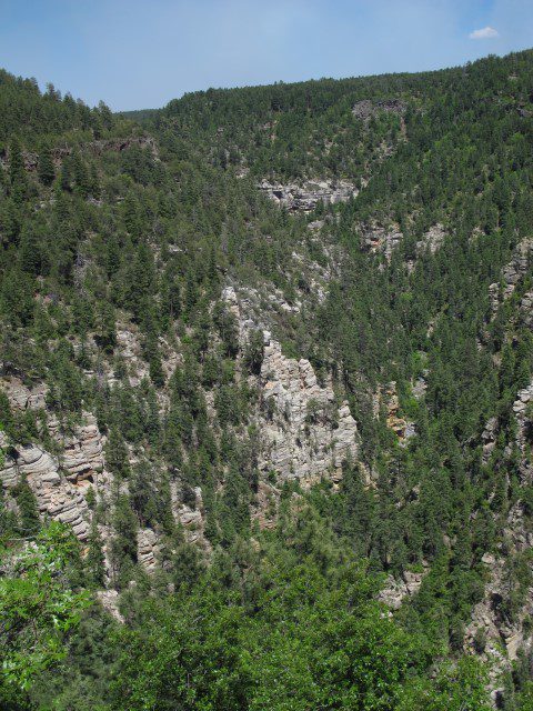 IMG_4825 Large Web view