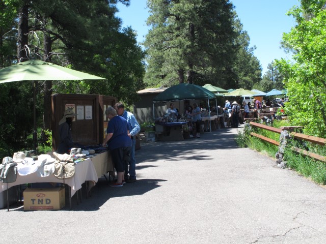 IMG_4832 Large Web view