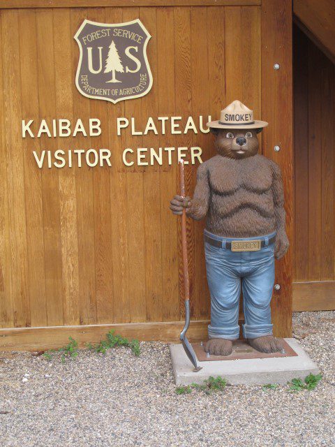 IMG_4876 Large Web view