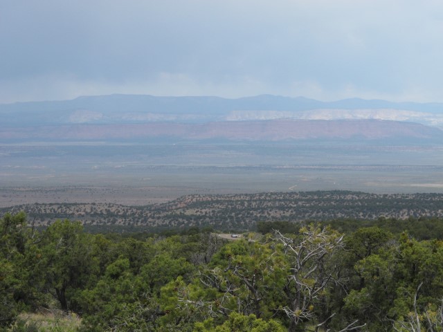 IMG_4879 Large Web view
