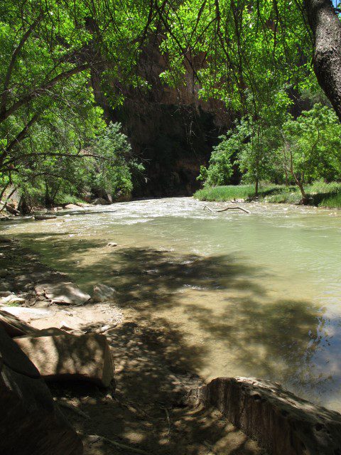 IMG_4977 Large Web view