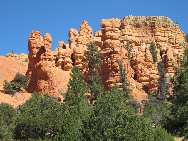 IMG_5031 Large Web view