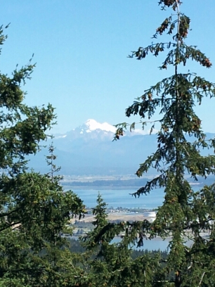 20160816_131050.jpg image