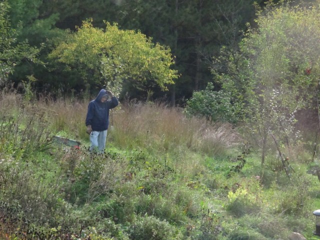 Sandy Doing Some Gardening