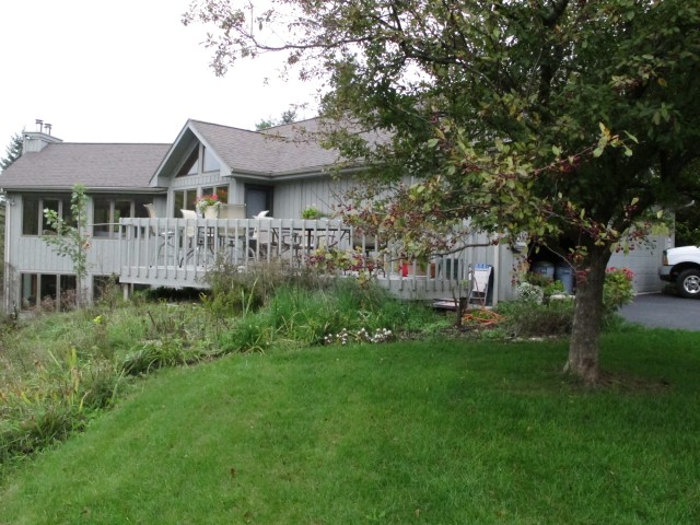 img_5563-large-web-view