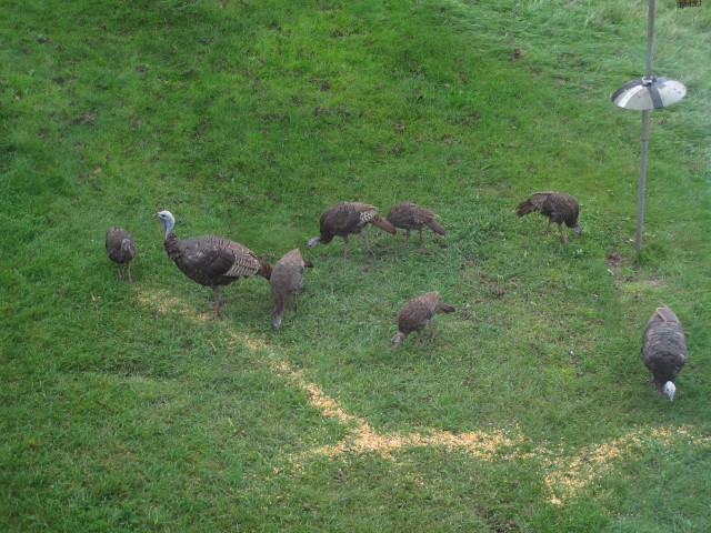 img_5579-large-web-view