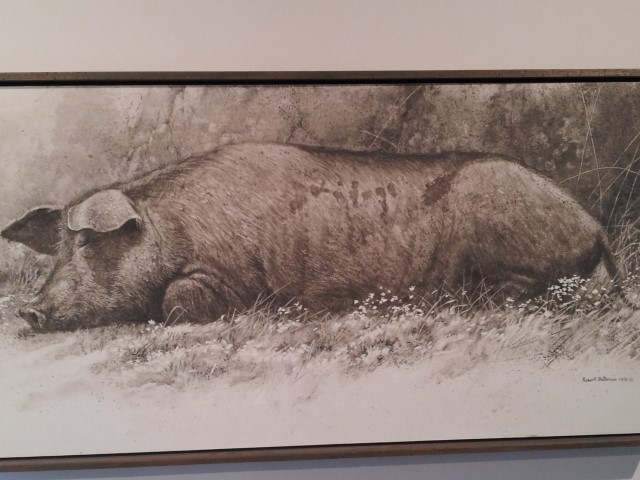 20161218_130236-large-web-view