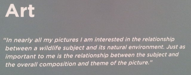 20161218_130312-large-web-view