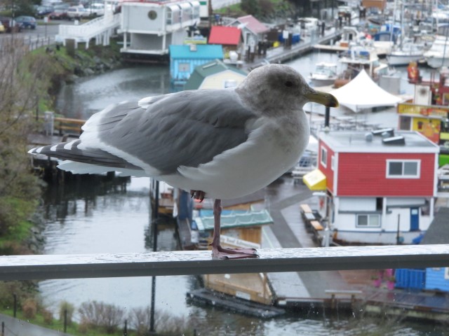 img_5747-large-web-view