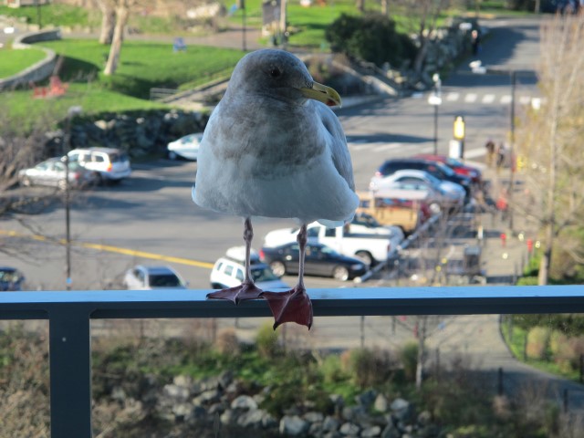 img_5752-large-web-view